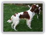 8-1-2010 play (4)