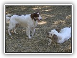 04-16-2016 grizzy & fancy (2)