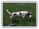 05-03-2016 apollo (1)