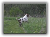 05-03-2016 apollo (3)