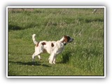 05-15-2016 apollo (2)