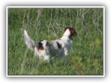 05-15-2016 apollo (3)