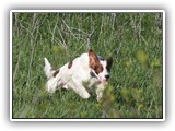 05-15-2016 apollo (4)