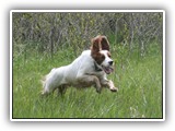 05-16-2016 grizzy (3)