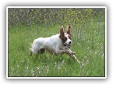 05-16-2016 grizzy (4)