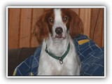 1-31-2013 eoghan