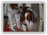 1-31-2013 group (2)