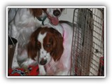 1-31-2013 group (3)