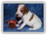 10-29-2018 Ember Litter Zuma (1)