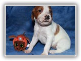 10-29-2018 Ember Litter Zuma (2)