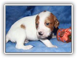 10-29-2018 Ember Litter Zuma (4)