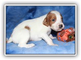 10-29-2018 Ember Litter Zuma (5)