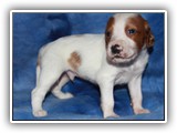 10-29-2018 Ember Litter Zuma (6)