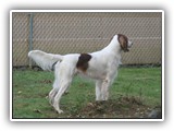 11-1-2013 ember (3)