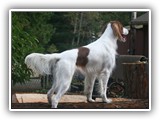 11-1-2013 ember (7)