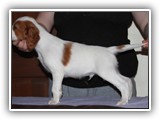 11-20-2018 ember litter zuma (1)