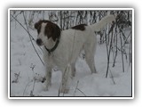12-9-12 eoghan