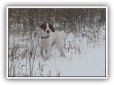 12-9-12 eoghan (2)