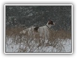 12-9-12 eoghan (5)
