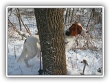 12-27-2015 grizz (2)
