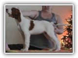 12-30-2018 ember zuma (38)