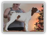 12-30-2018 ember zuma (39)