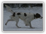 1-25-2016 apollo (1)