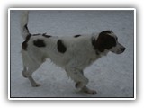 1-25-2016 apollo (2)