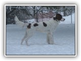 1-26-2016 apollo (1)