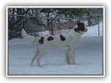 1-26-2016 apollo (2)