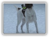 1-26-2016 apple (2)