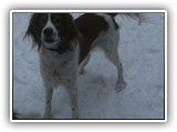 1-26-2016 kayleigh (2)
