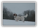 2-22-2013 eoghan (1)