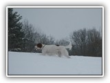 2-22-2013 eoghan (2)
