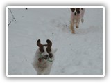 2-27-2013 arin & poppy