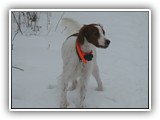 2-27-2013 eoghan (1)