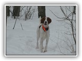 2-27-2013 eoghan (2)