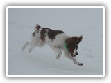 2-27-2013 kayleigh (2)