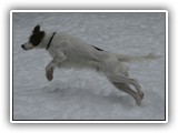 2-6-2013 eoghan (1)