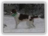2-6-2013 kayleigh (1)