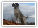 2014-03-07 eoghan (1)