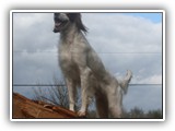 2014-03-07 eoghan (2)