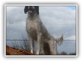 2014-03-07 eoghan (3)