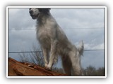 2014-03-07 eoghan (4)