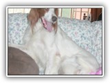 2014-03-07 eoghan (5)