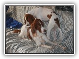 2014-03-07 kayleigh & apple (2)