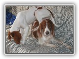 2014-03-07 kayleigh & apple (3)