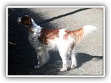 2014-03-10 kayleigh
