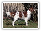 2014-03-11 kayleigh