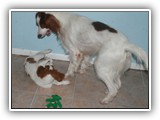 2014-2-6 (11)